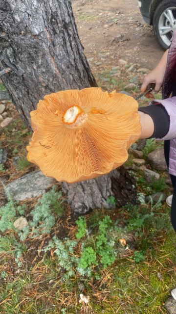 818af56e-69ce-4ad2-b592-14e8c3b971ca