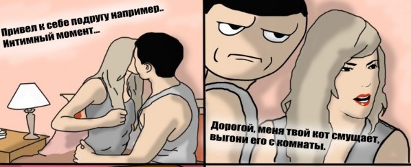 кот