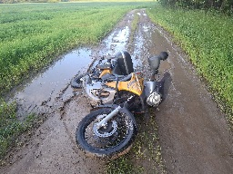 IMG_20250822_175427_844