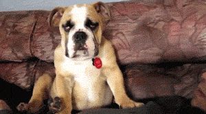 tumblr_lumgklXcMl1qjvsoxo1_400