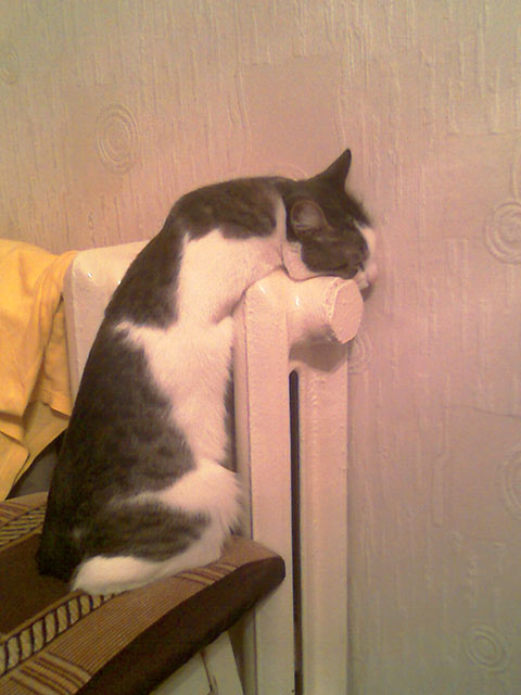 IMAG0452