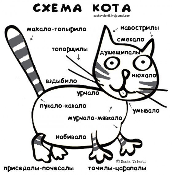 x_d2e7d12c