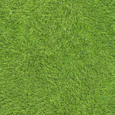grass-1