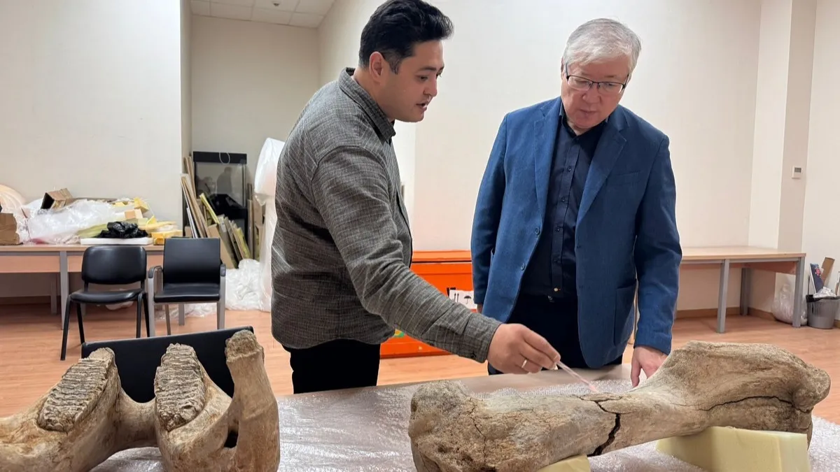 e5be2e9d-e4b5-4768-9ef3-f0981f4ad0ca