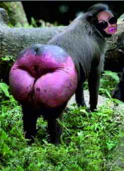 00000000000000000000