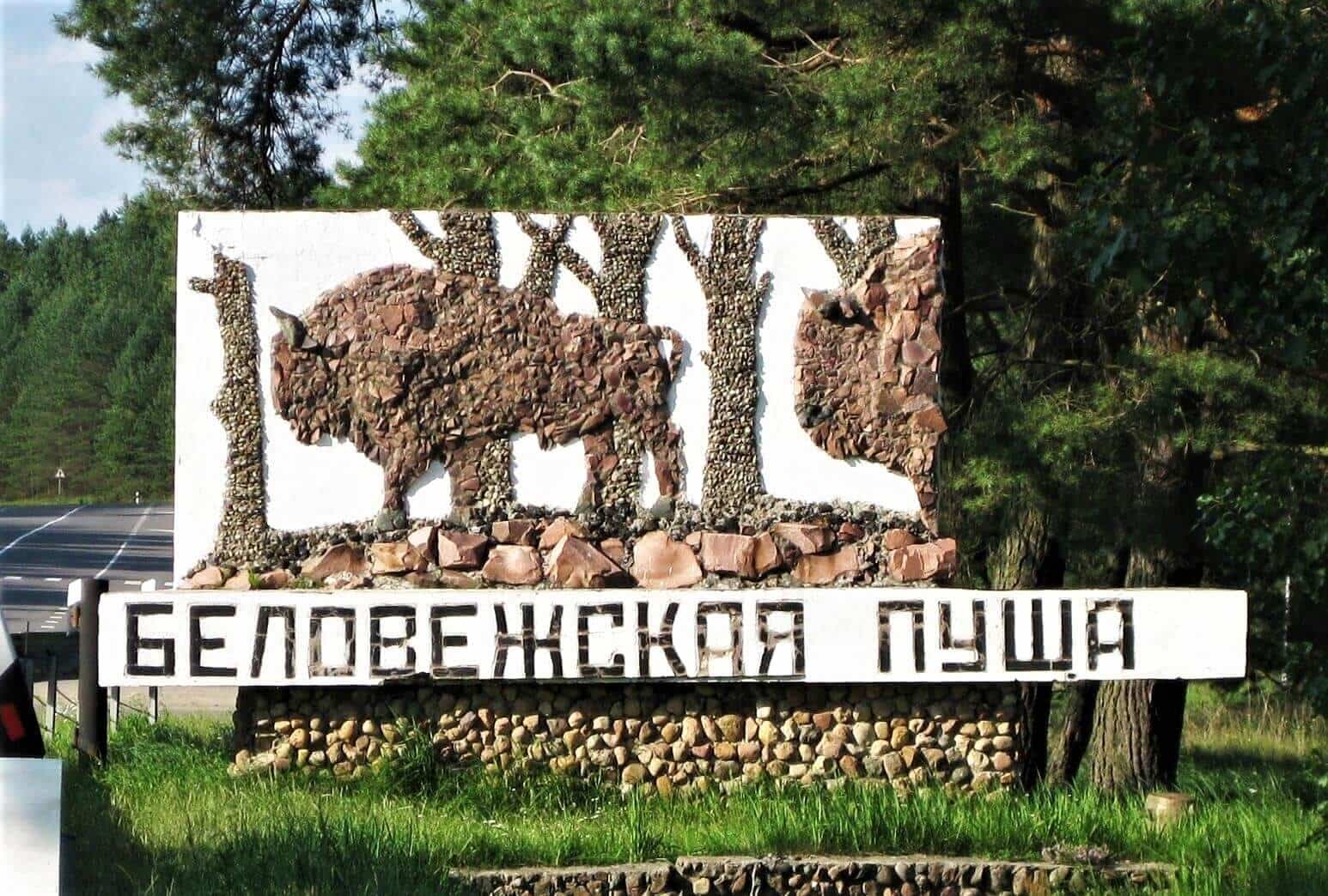 bialowieza_forest_entry