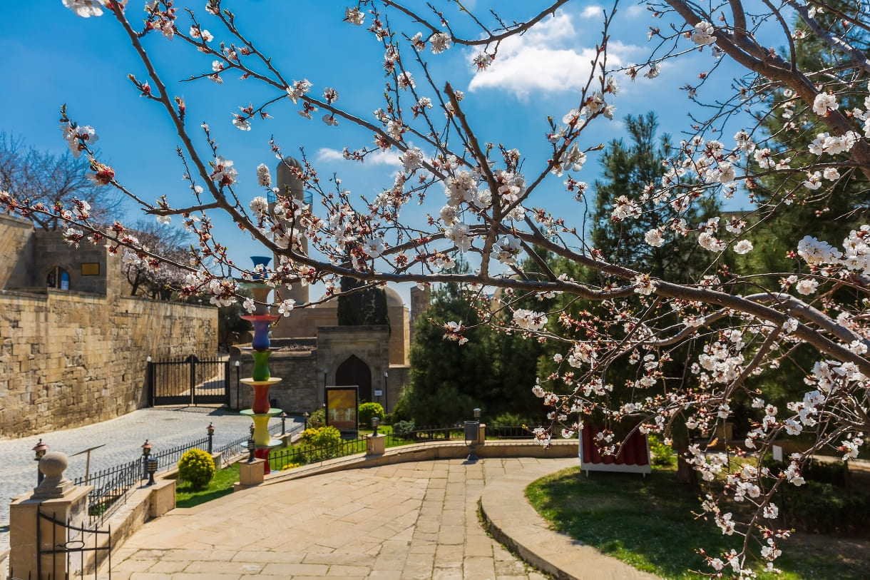 25245f3e-5202-4168-9870-31a30c25d73a