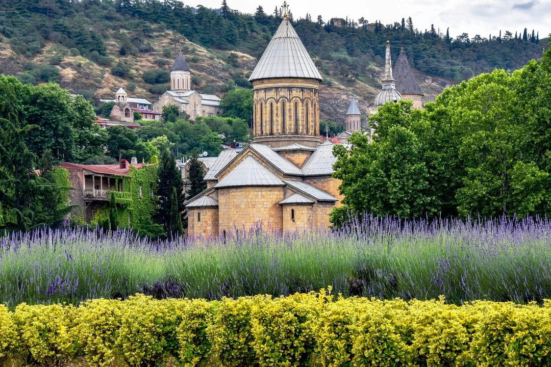 0900c7cb-4cb1-441a-a421-6799c8b1