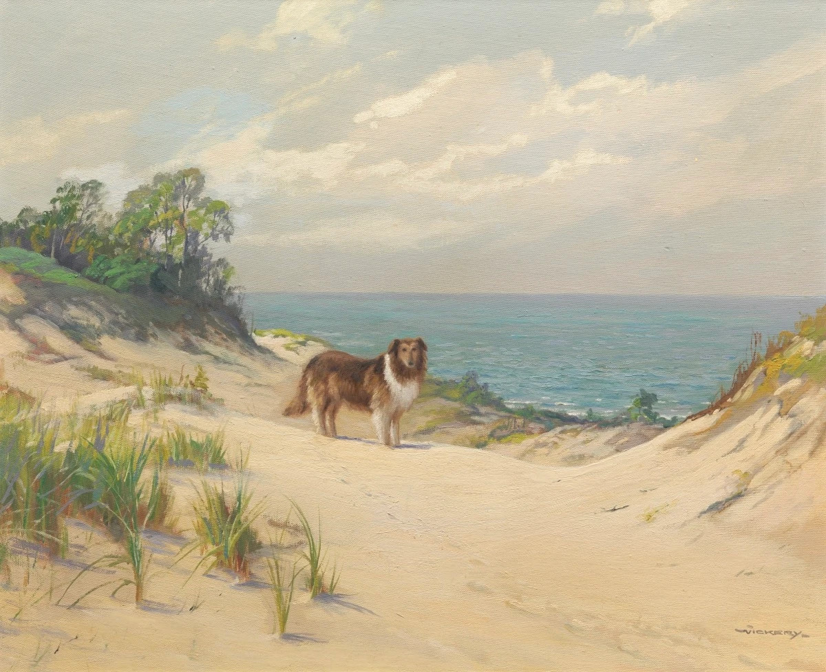 8930fe09-9386-4da3-b511-609ac2ce