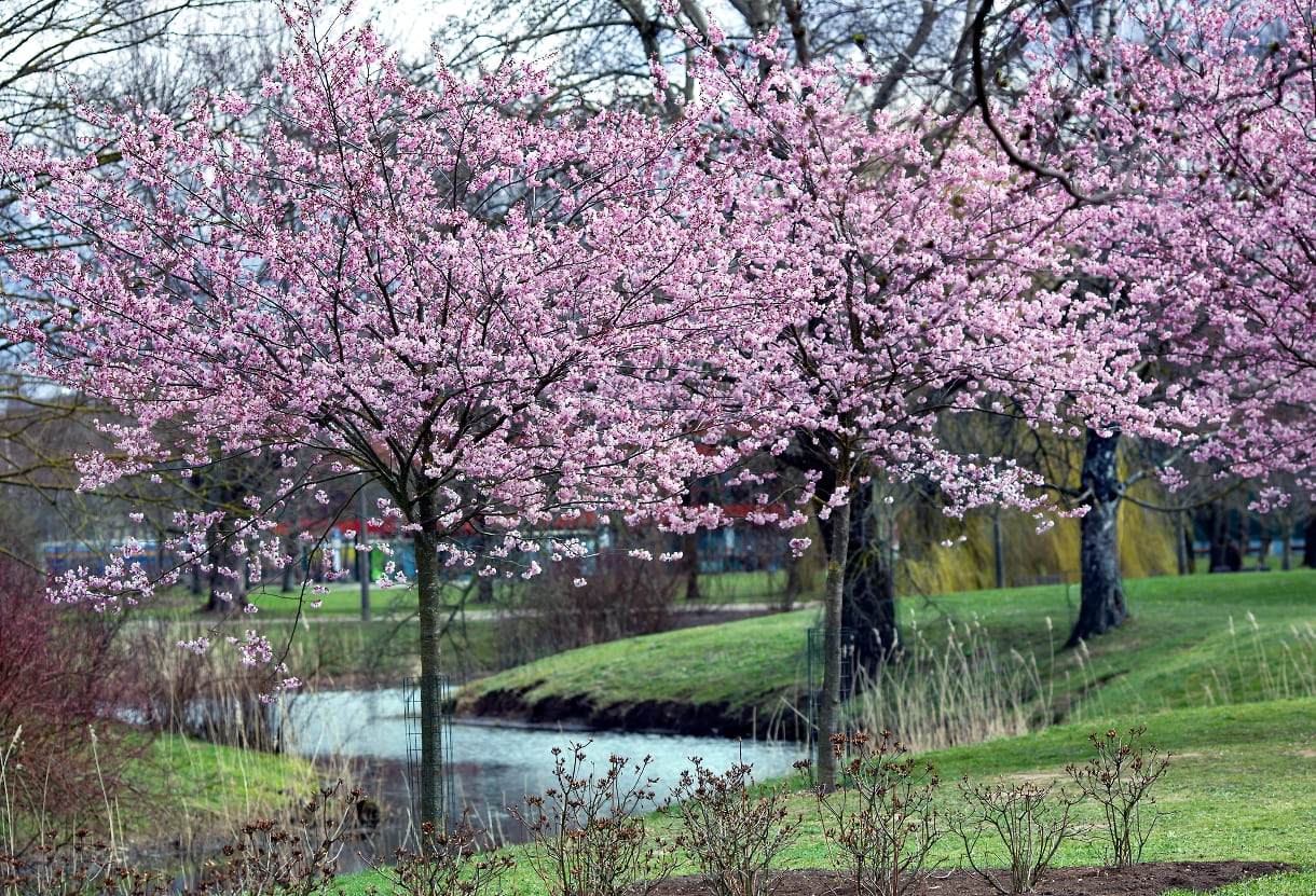 b39d82e3-40c7-4d9e-8e1c-d9fc3b7d1984