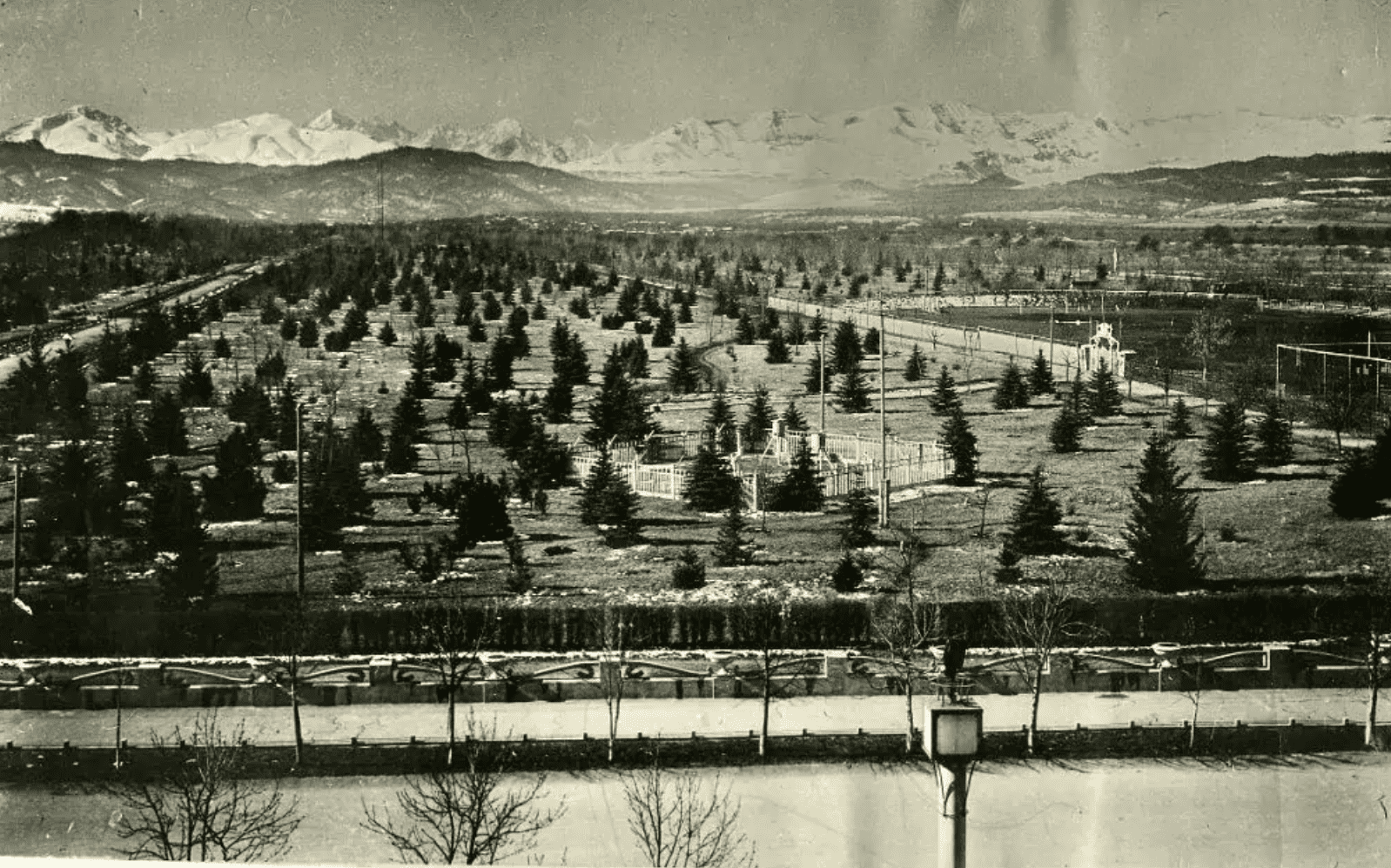 addd7aa1-4bae-410f-9857-63d810439ea0