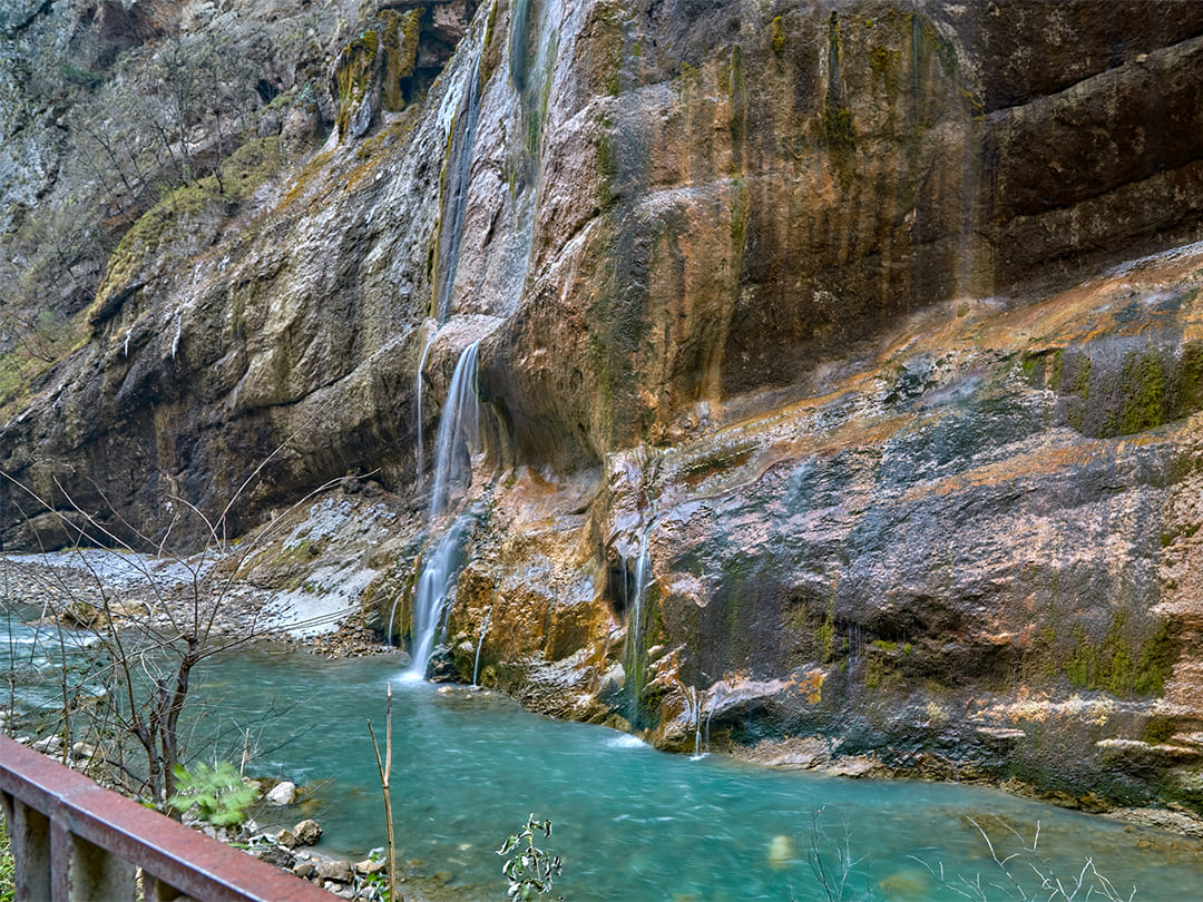 03a1255a-550a-494d-8bfb-9d270624437f