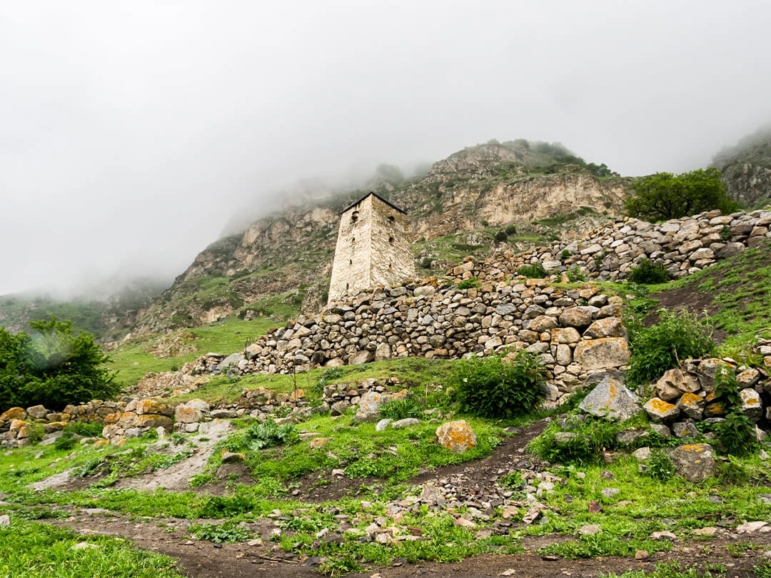 353b7d47-4c6f-4b69-bef1-9a7b13cd