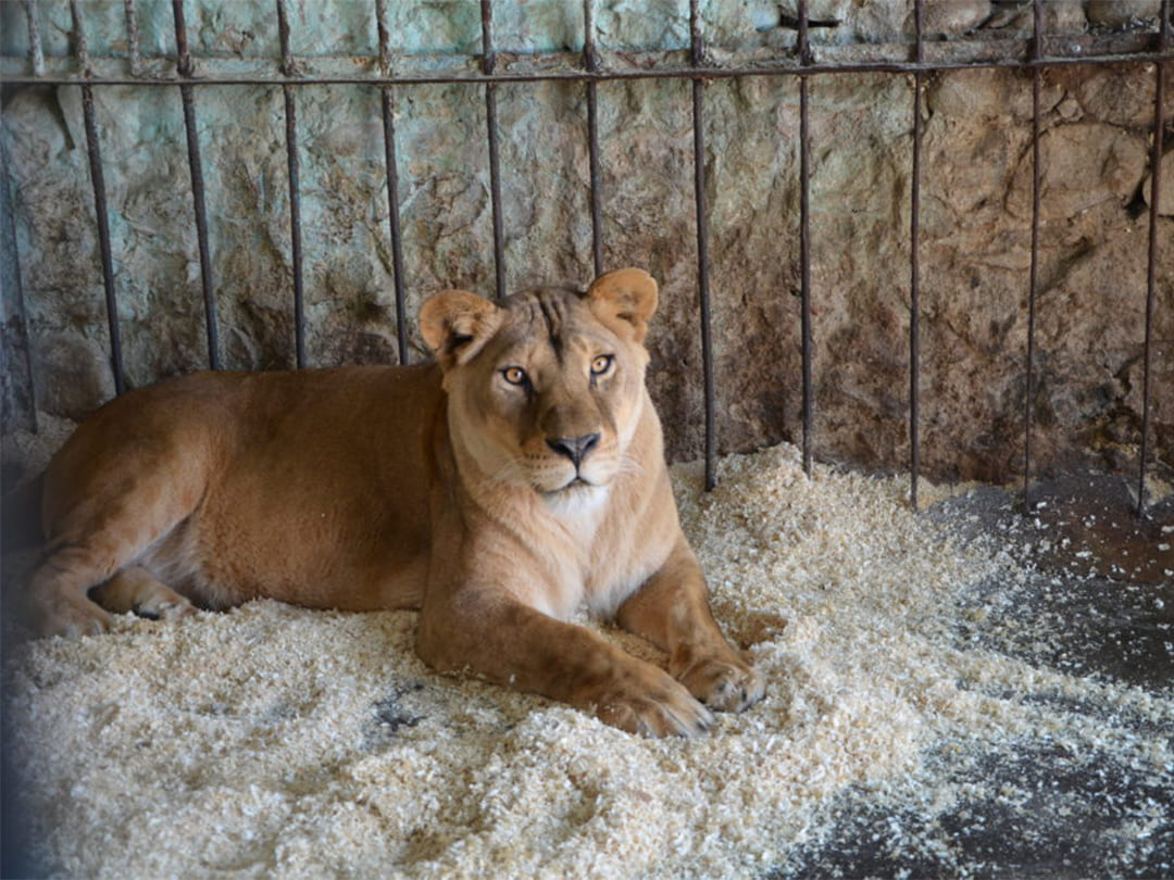 9e292d91-d107-4e06-b6b2-47ed88cf289d