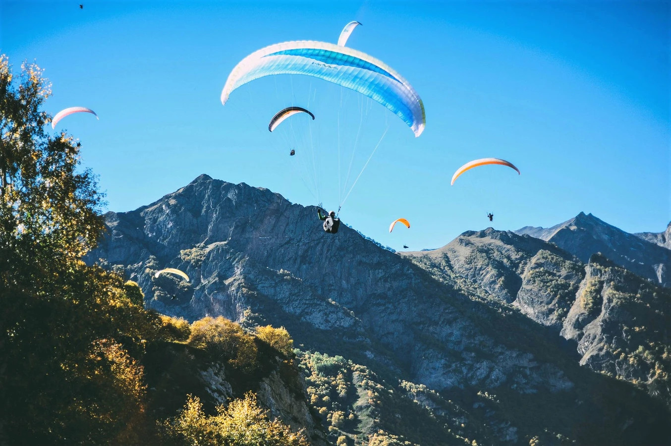 9bceb64a-3309-4a4e-9bfa-bd7062ba