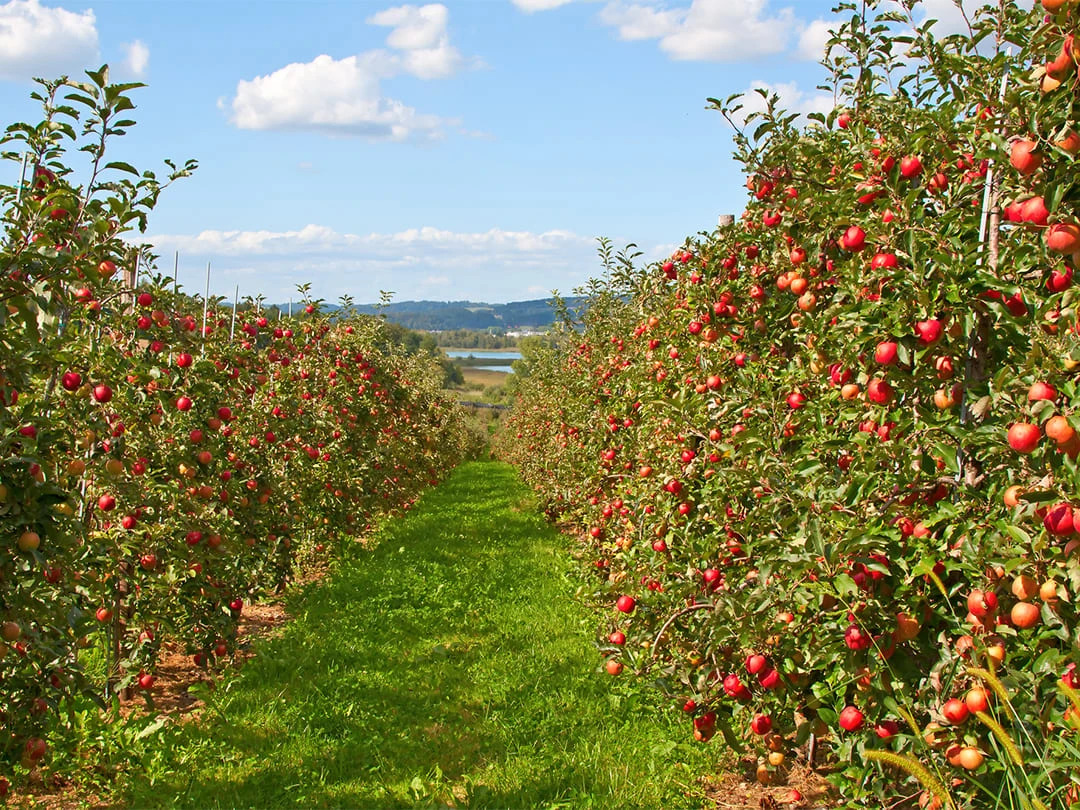 088f4038-d557-477e-8968-6b024e16