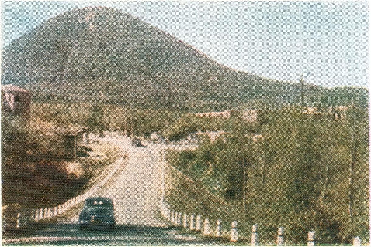 18145559-a426-4620-bdf7-d0343fdb4c40