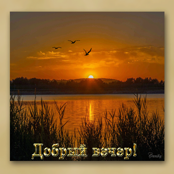 Добрый вечер!