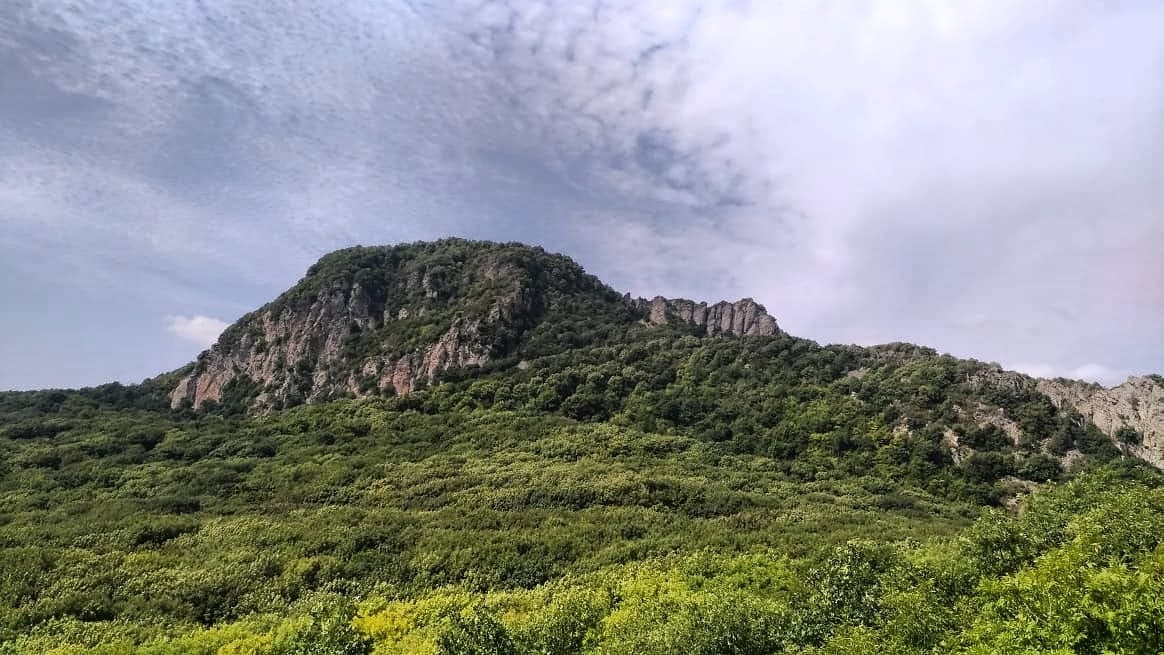 c112964b-4f2e-4055-89f9-52b37f399107