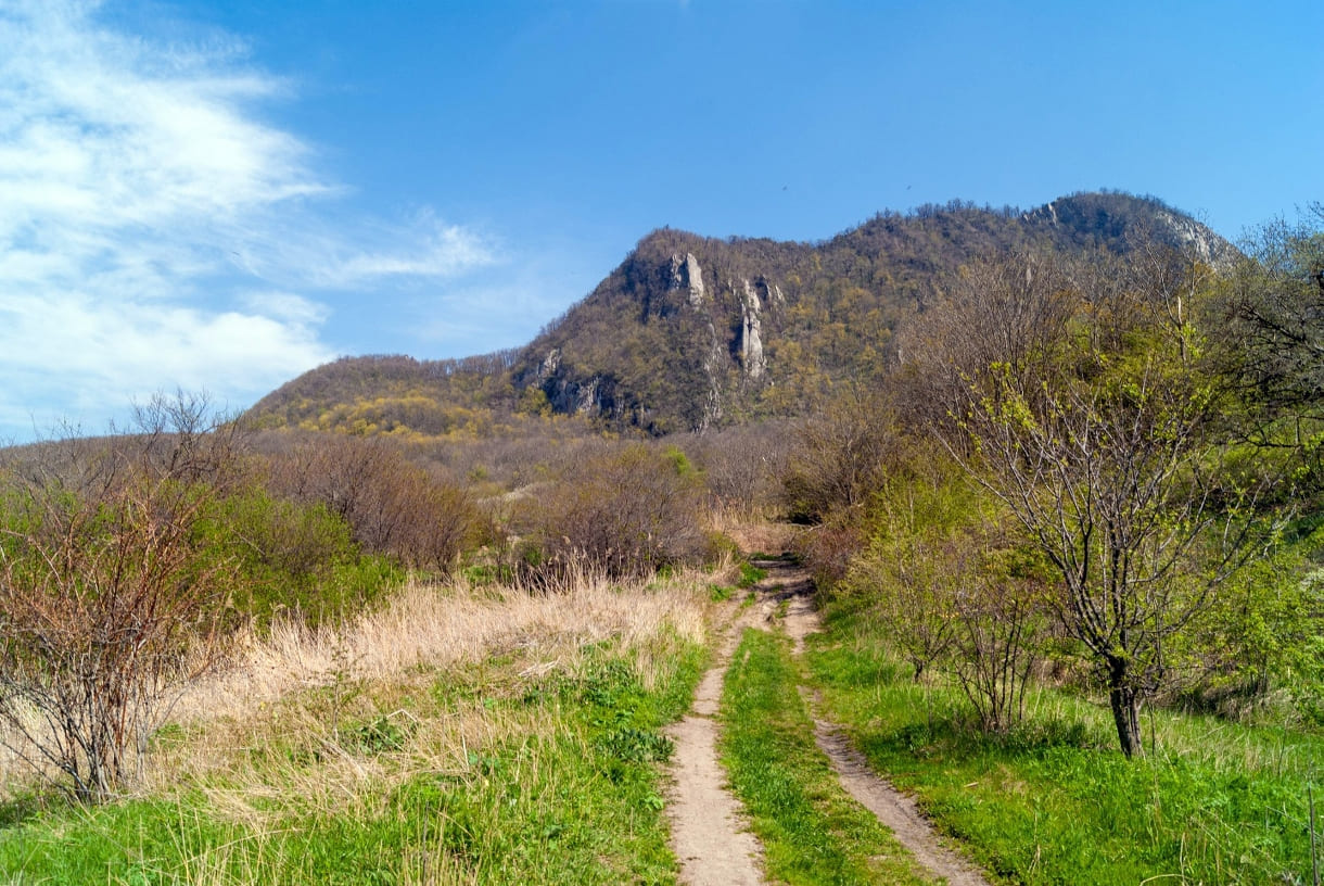 7050eeb9-74bb-4a25-bcfd-05857ff03598