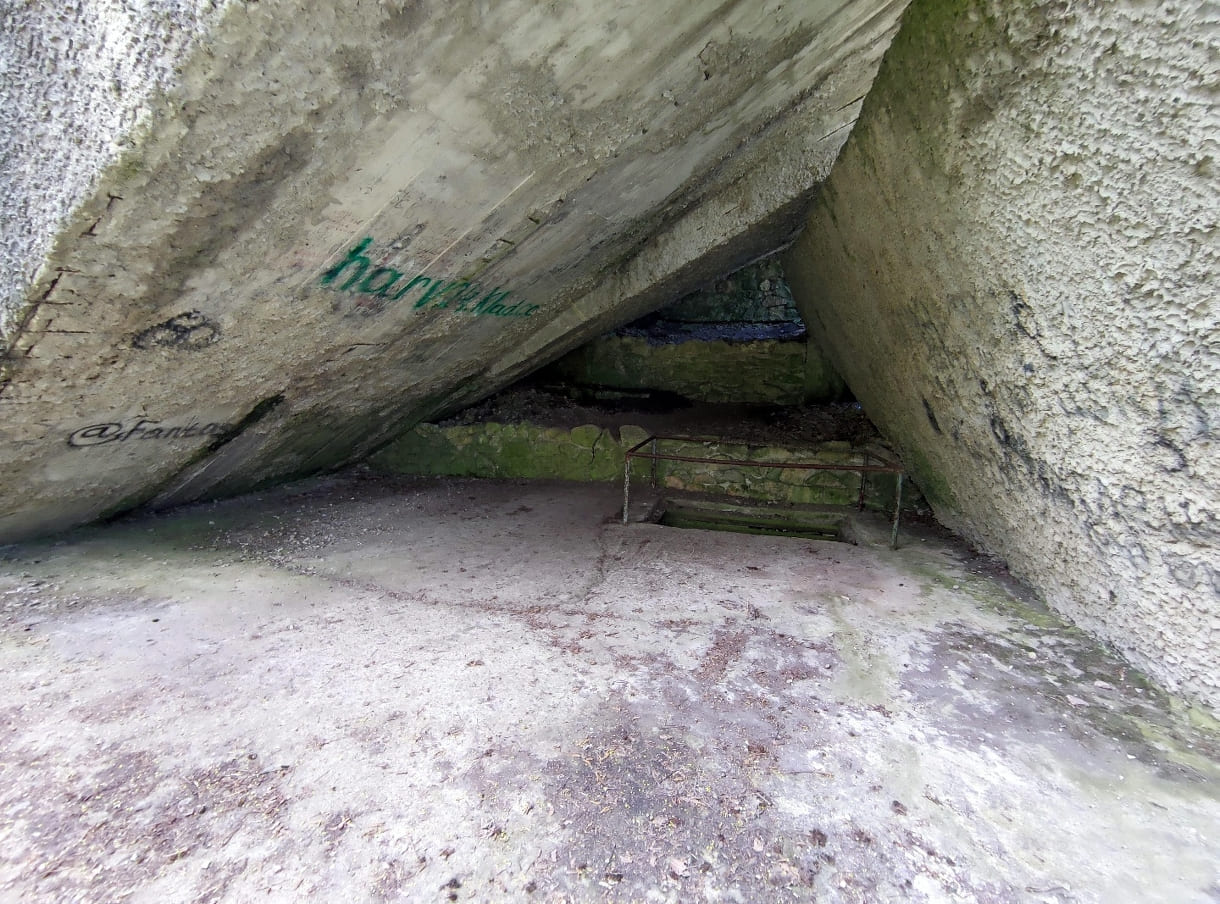 fb5ca0ab-86a0-4db2-a084-a606ff26245f