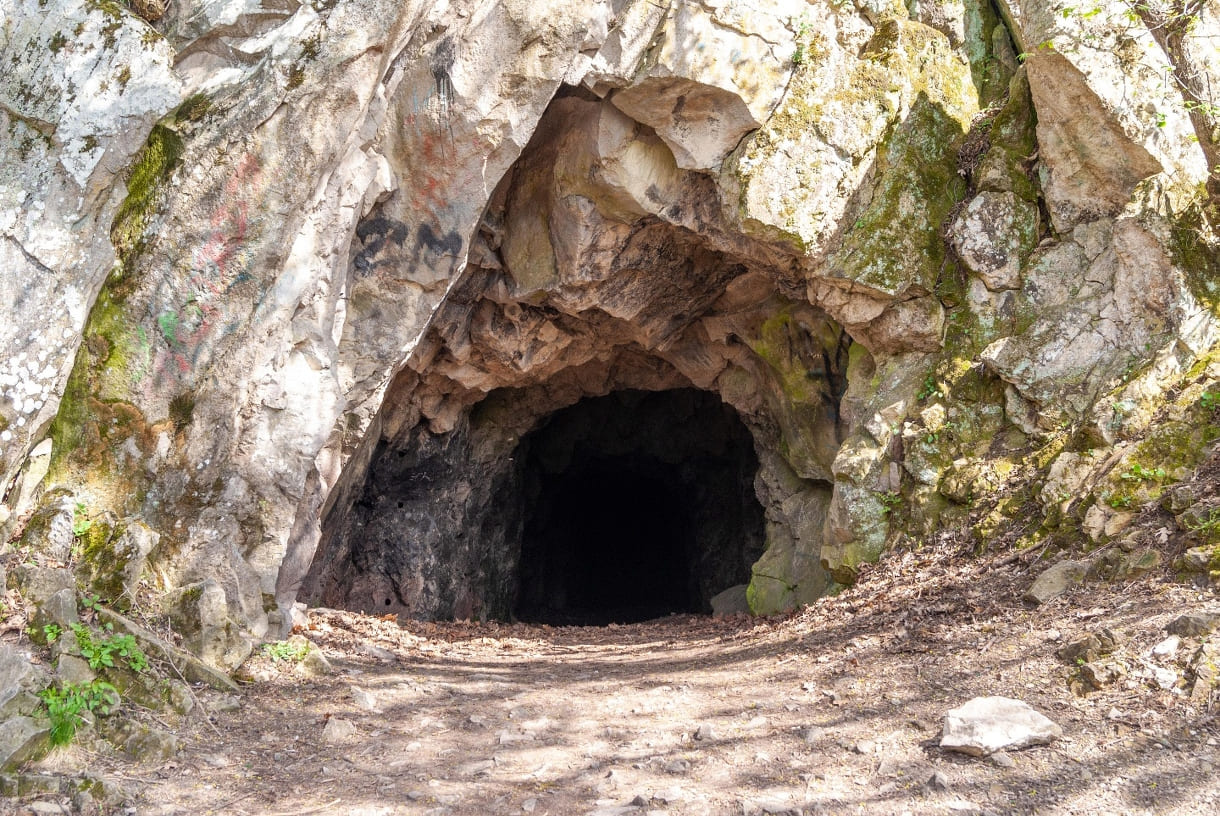 7b17ffc1-e7ac-4420-a224-1c386c55575b