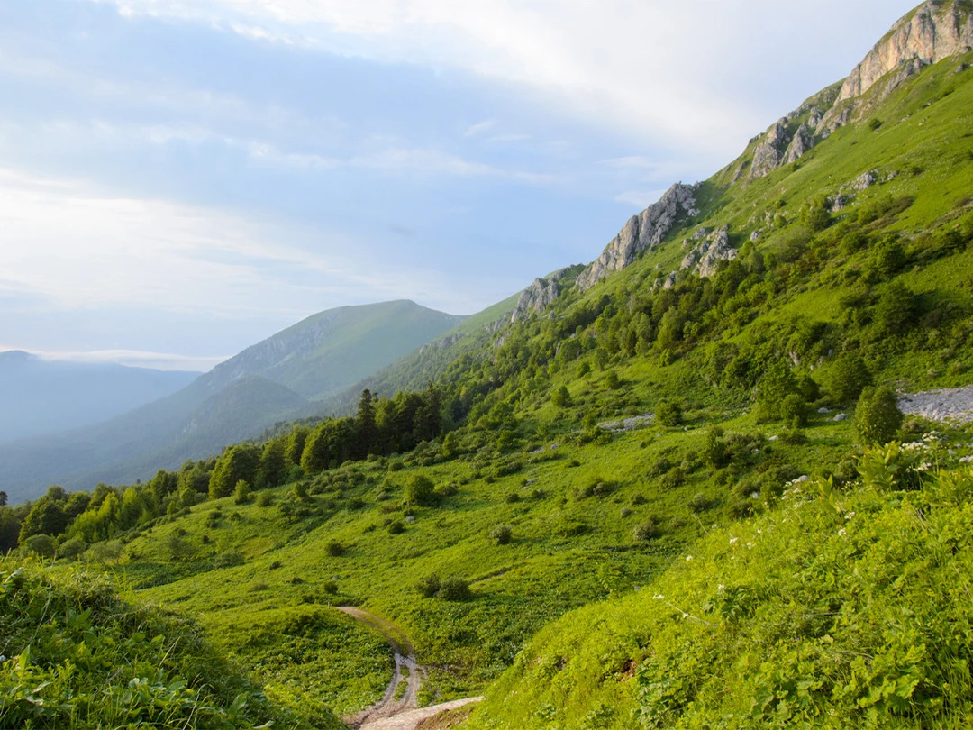 1990d9c4-4b8d-4943-ba77-12105e60