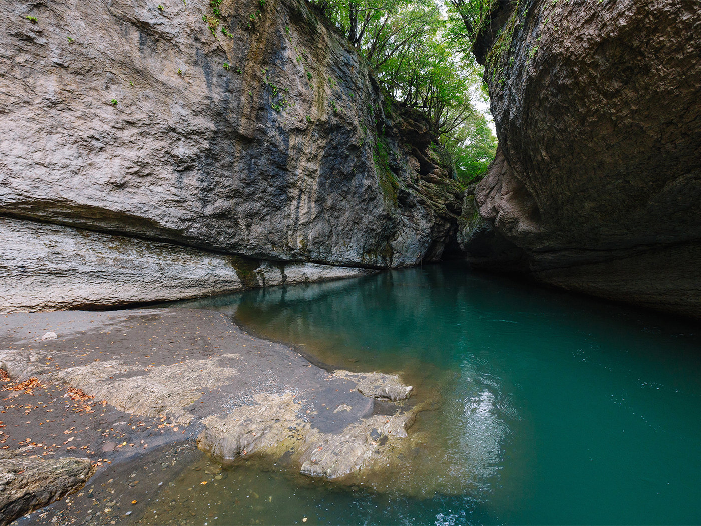 83327952-eec2-4039-9d57-018523c30766