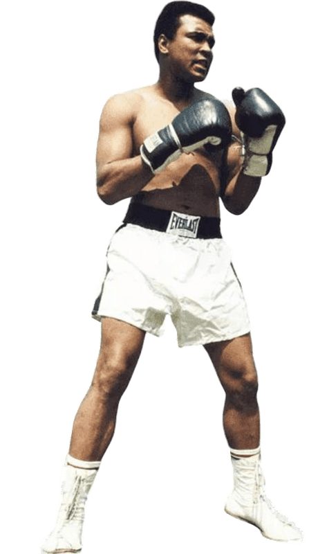 Polish-20250224-151137125-Photoroom (1)