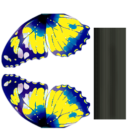 Batterfly_blue (4) (1)