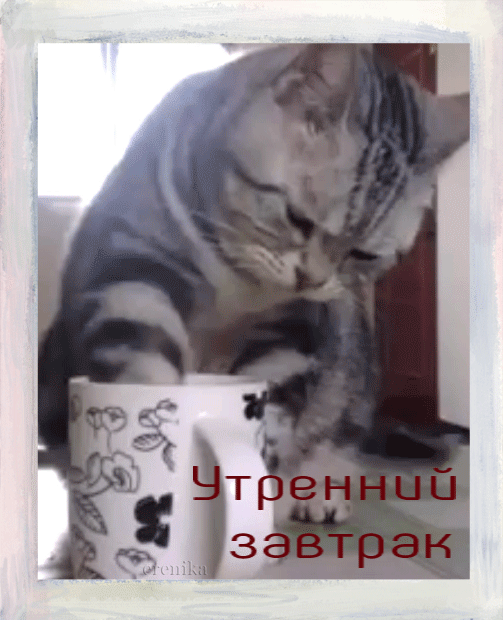 Утренний завтрак