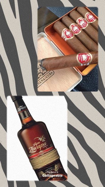 photo_2025-11-17_10-20-33