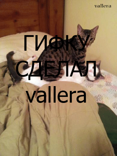 vallera2