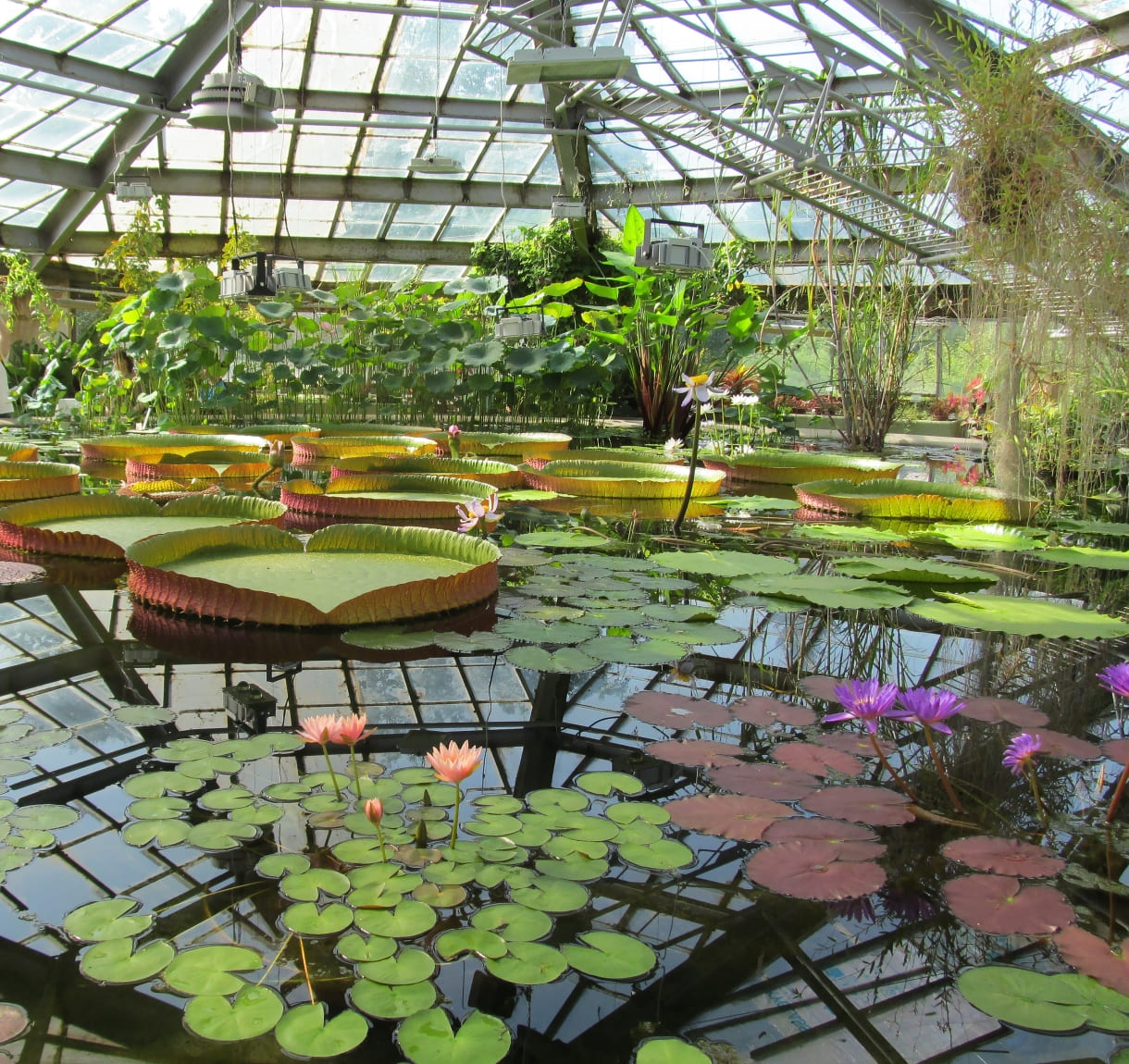 72bee2f1-c616-4c8f-b96d-5edb6acccca9