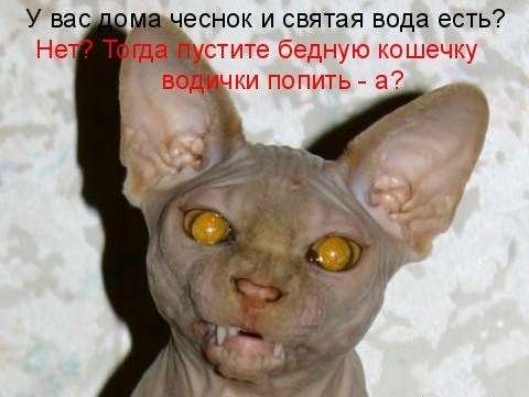 x_a150d9b6