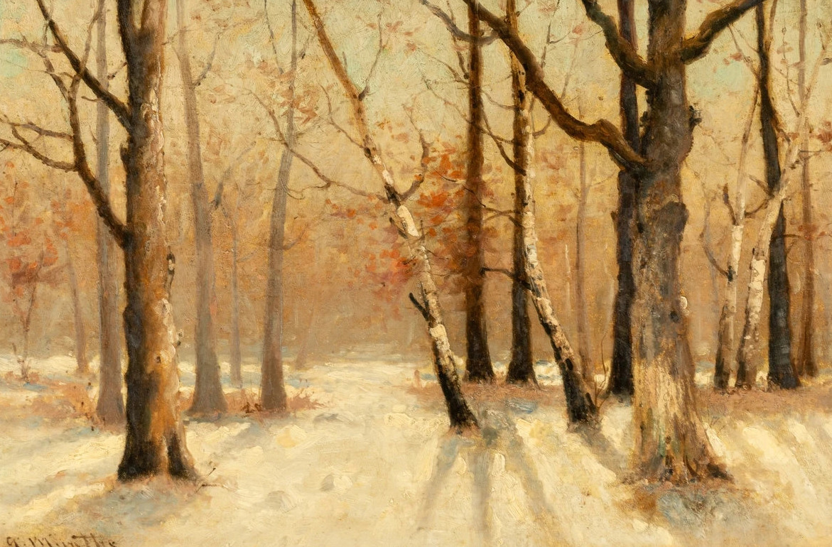 snow-and-trees-6L0IQ