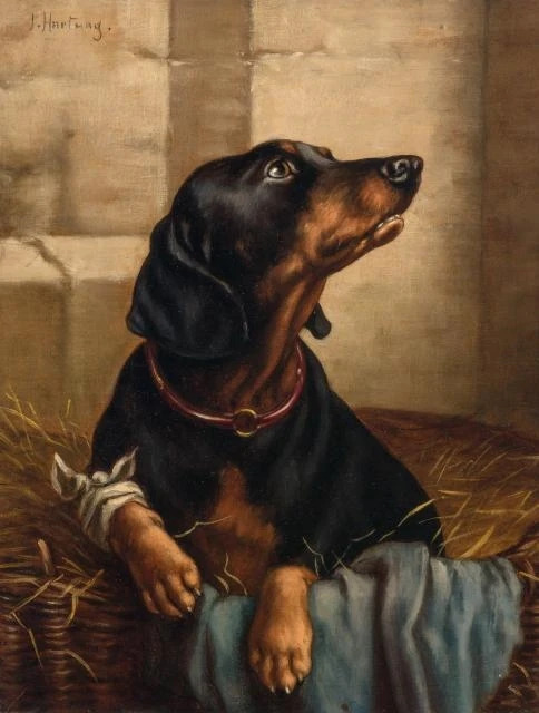 10212a8c-b45b-4a35-bc77-7e150eea