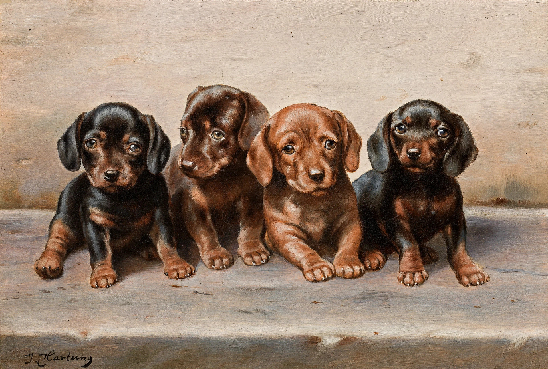 e2be8904-7fa3-428c-9a0c-dde9e519