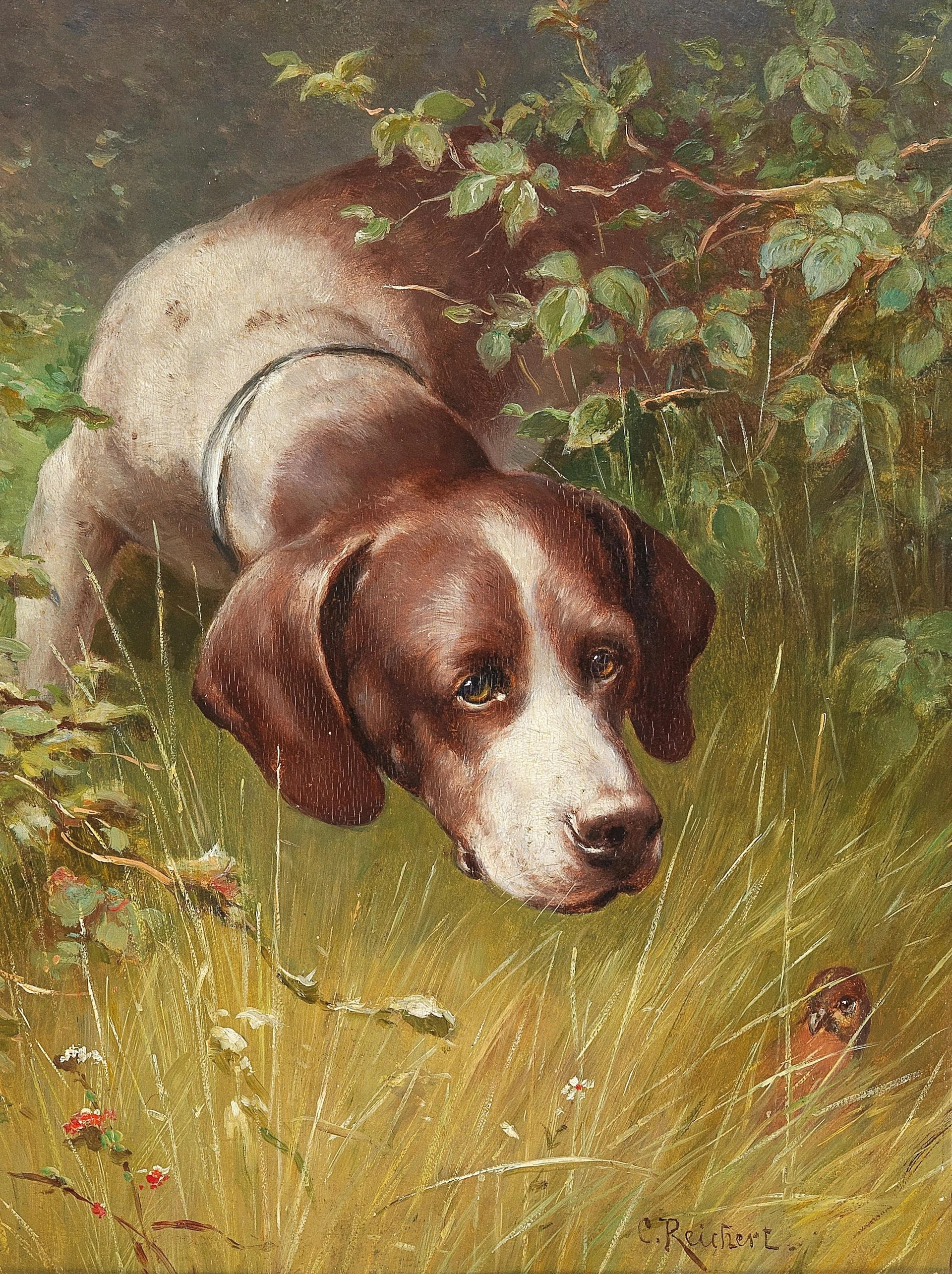 3a8101b9-4dd8-4a56-912e-7118408c