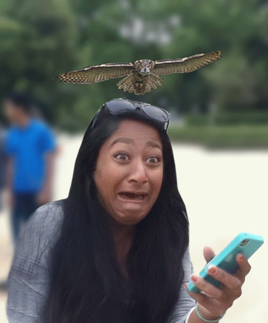 летит  Сова