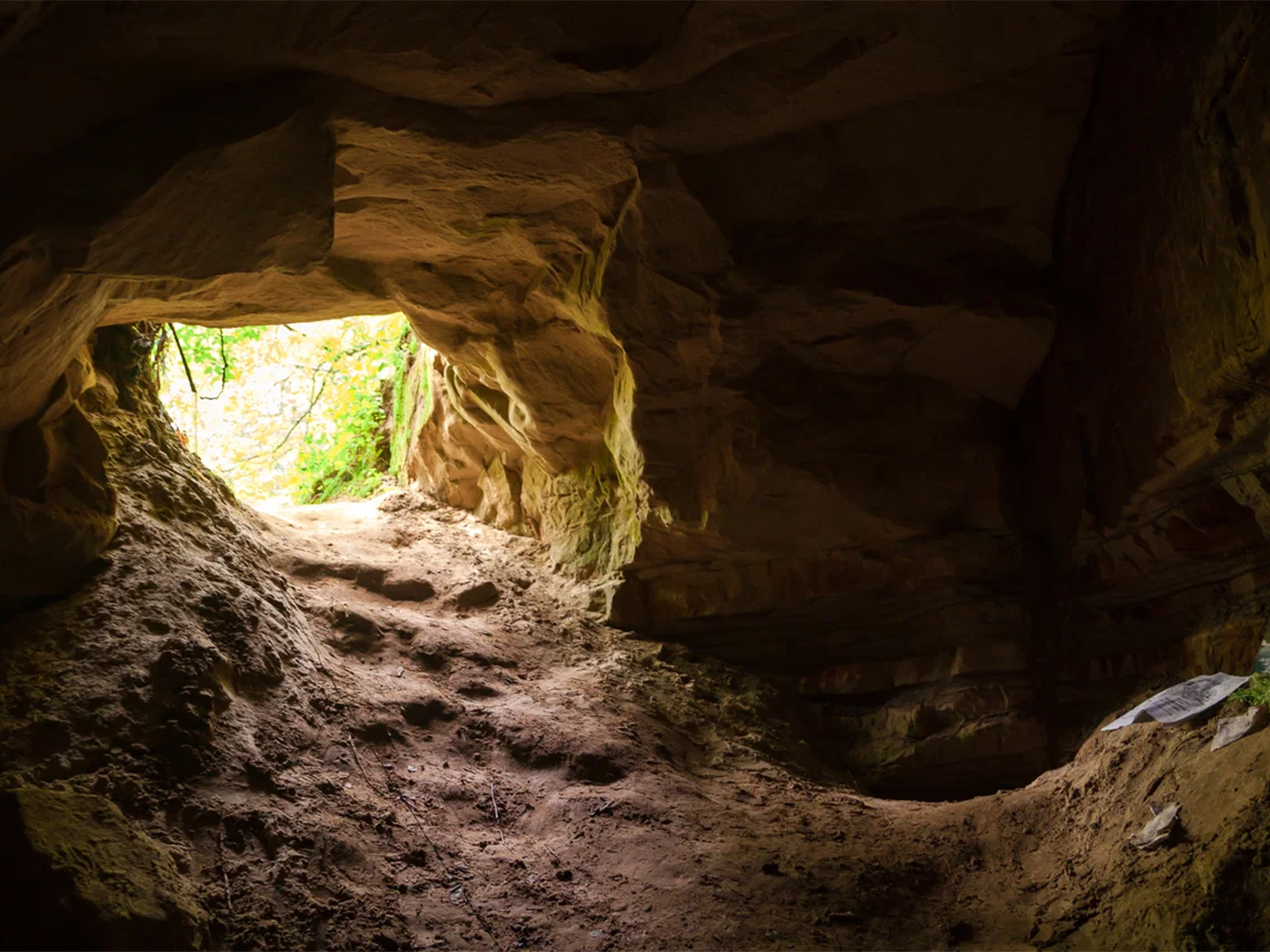 cdc40cf2-aa71-4eb1-b4b5-cc8135fe4d02