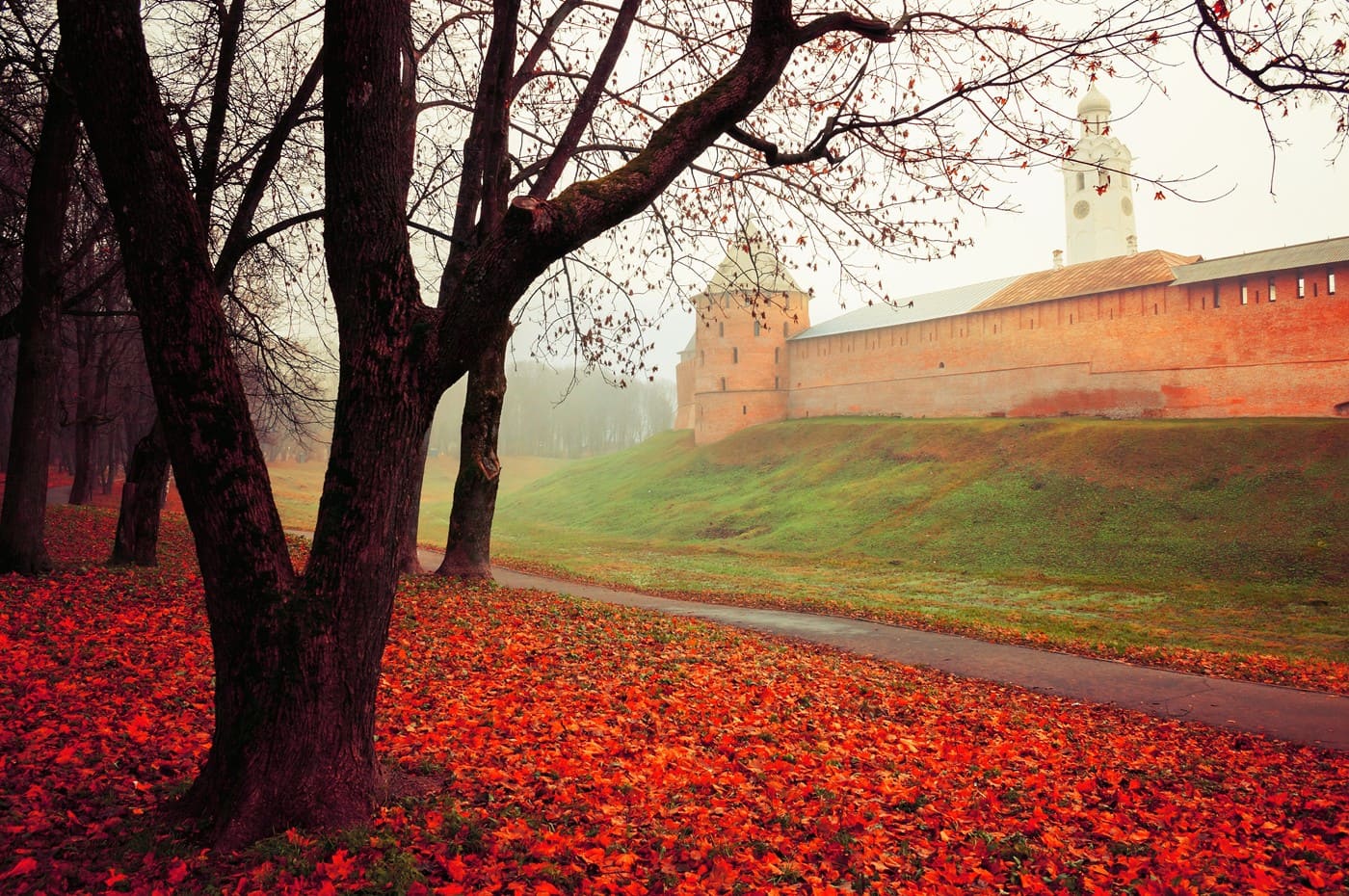 15d0a063-994f-4420-b6b1-0547db1281d3