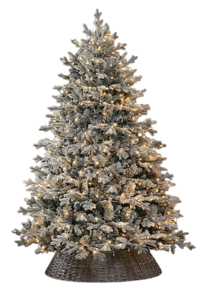 _18-12-2025_131435-removebg-preview