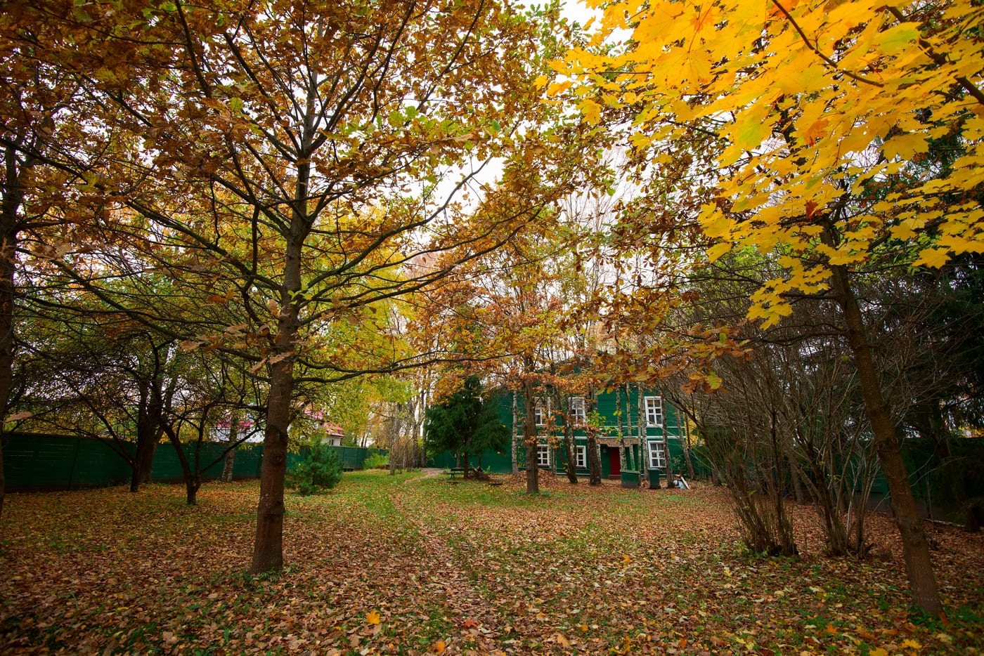 1773b6d9-11f4-435f-9cd9-73289ab6bc70