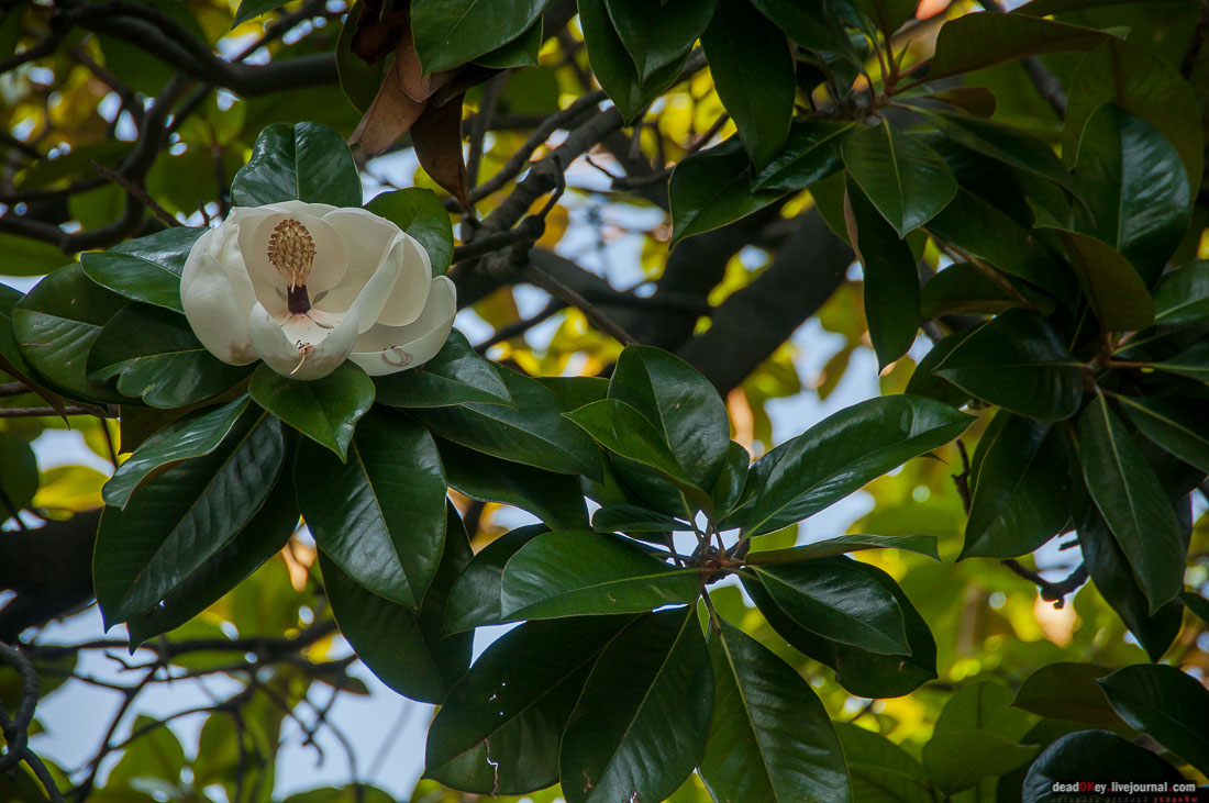 P2WlxyVijxKhhGpn98deWEMdsf-ah7h0yFmVCaBSlcXe_A6al8i_R0wpFEg4E0x_uVAahSjNdhNKC0EHhFco8kcDhzjWLfqU_VVG