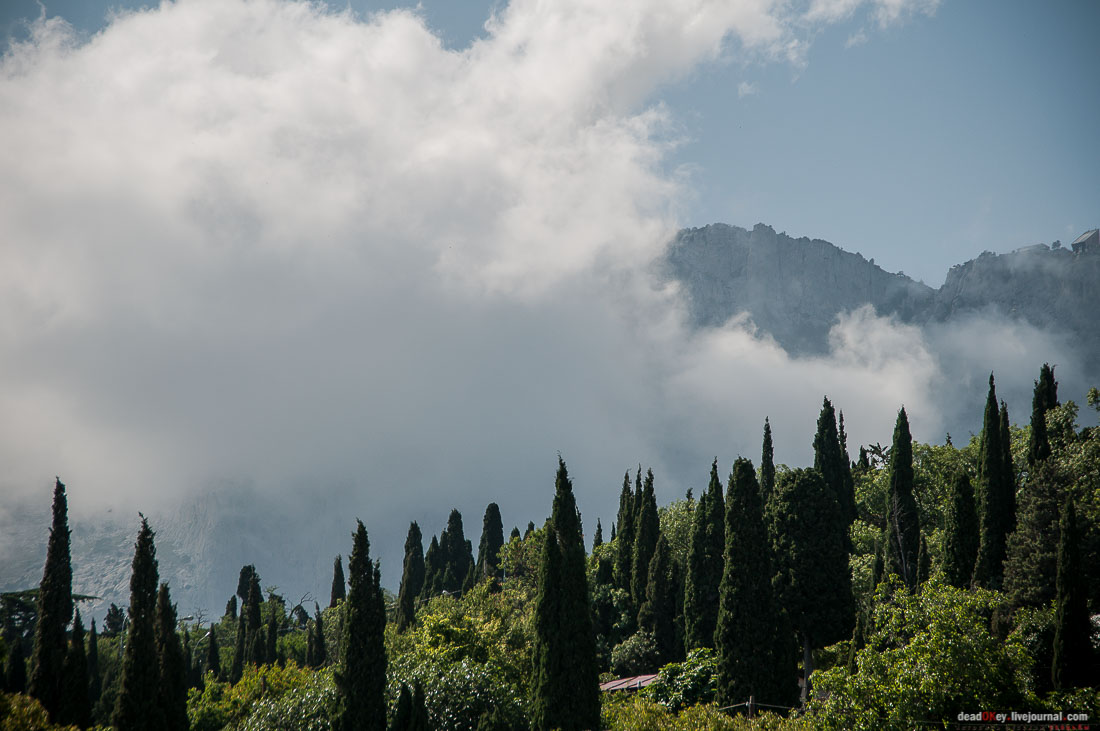 P2WlxyVijxKhhGpn98deWEMdsf-ah7h0yFmVCaBSlcXe_A6al8i_R0wpFEg4E0x_uVAahSjNdhNKC0EHhFco8kcDhzjWLfqU_VVG