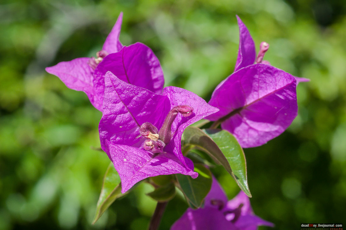 P2WlxyVijxKhhGpn98deWEMdsf-ah7h0yFmVCaBSlcXe_A6al8i_R0wpFEg4E0x_uVAahSjNdhNKC0EHhFco8kcDhzjWLfqU_VVG