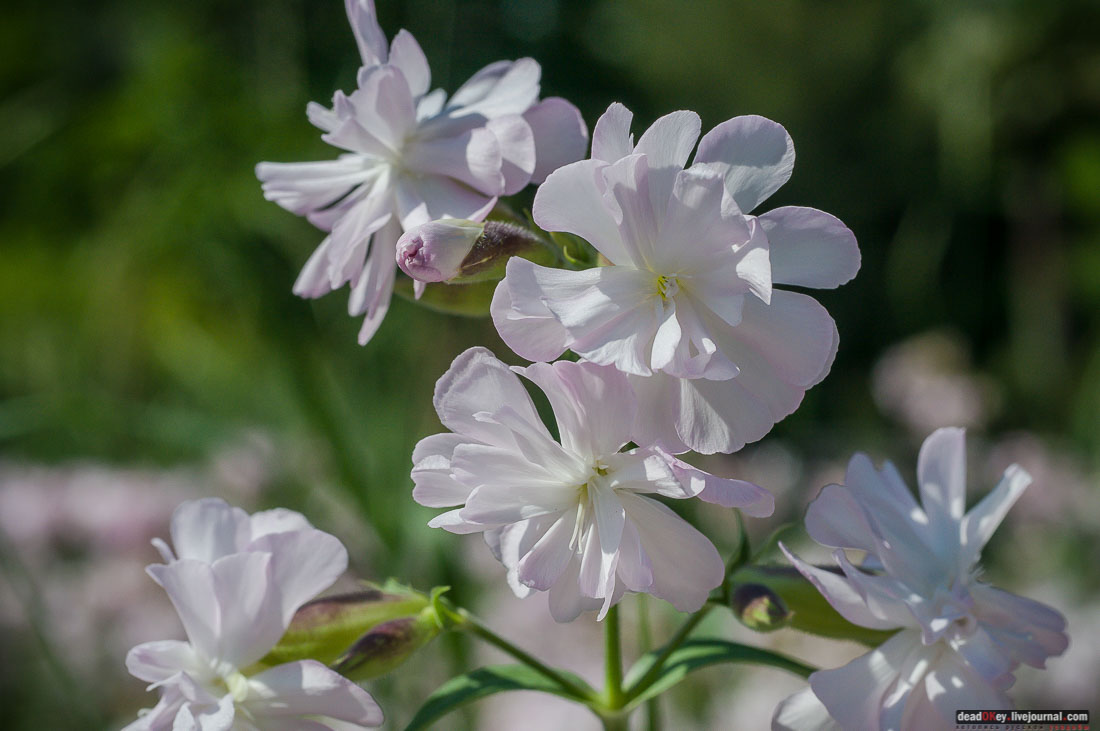 P2WlxyVijxKhhGpn98deWEMdsf-ah7h0yFmVCaBSlcXe_A6al8i_R0wpFEg4E0x_uVAahSjNdhNKC0EHhFco8kcDhzjWLfqU_VVG