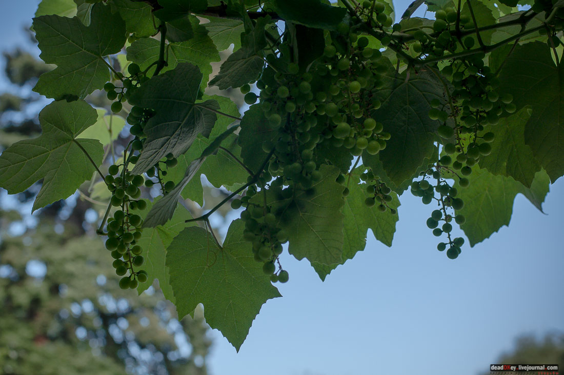 P2WlxyVijxKhhGpn98deWEMdsf-ah7h0yFmVCaBSlcXe_A6al8i_R0wpFEg4E0x_uVAahSjNdhNKC0EHhFco8kcDhzjWLfqU_VVG