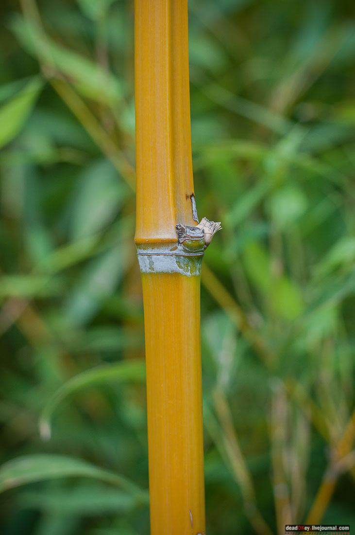 P2WlxyVijxKhhGpn98deWEMdsf-ah7h0yFmVCaBSlcXe_A6al8i_R0wpFEg4E0x_uVAahSjNdhNKC0EHhFco8kcDhzjWLfqU_VVG